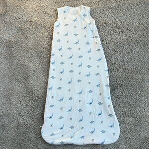 Kyte Baby Sleep Bag in Jurassic 1.0 size L
